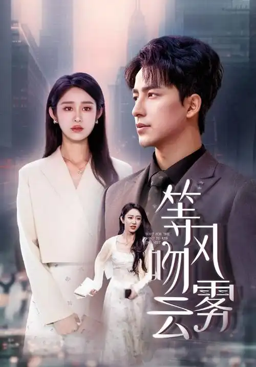 雾港谜局热播电视剧全集